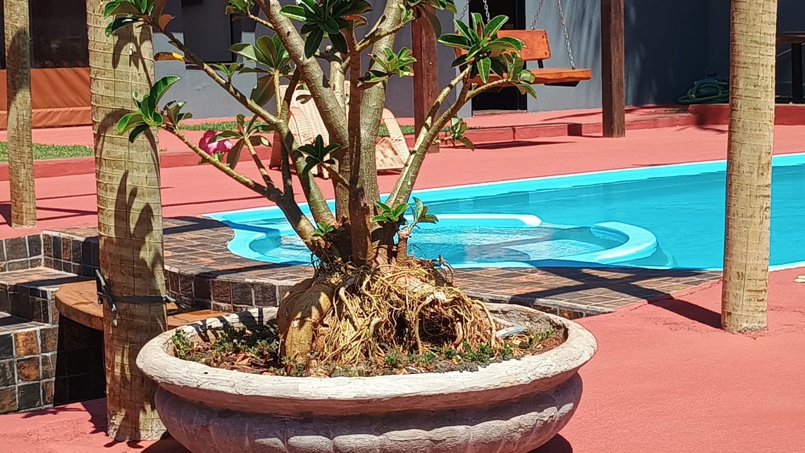 Foto do Rancho Vinimar 33